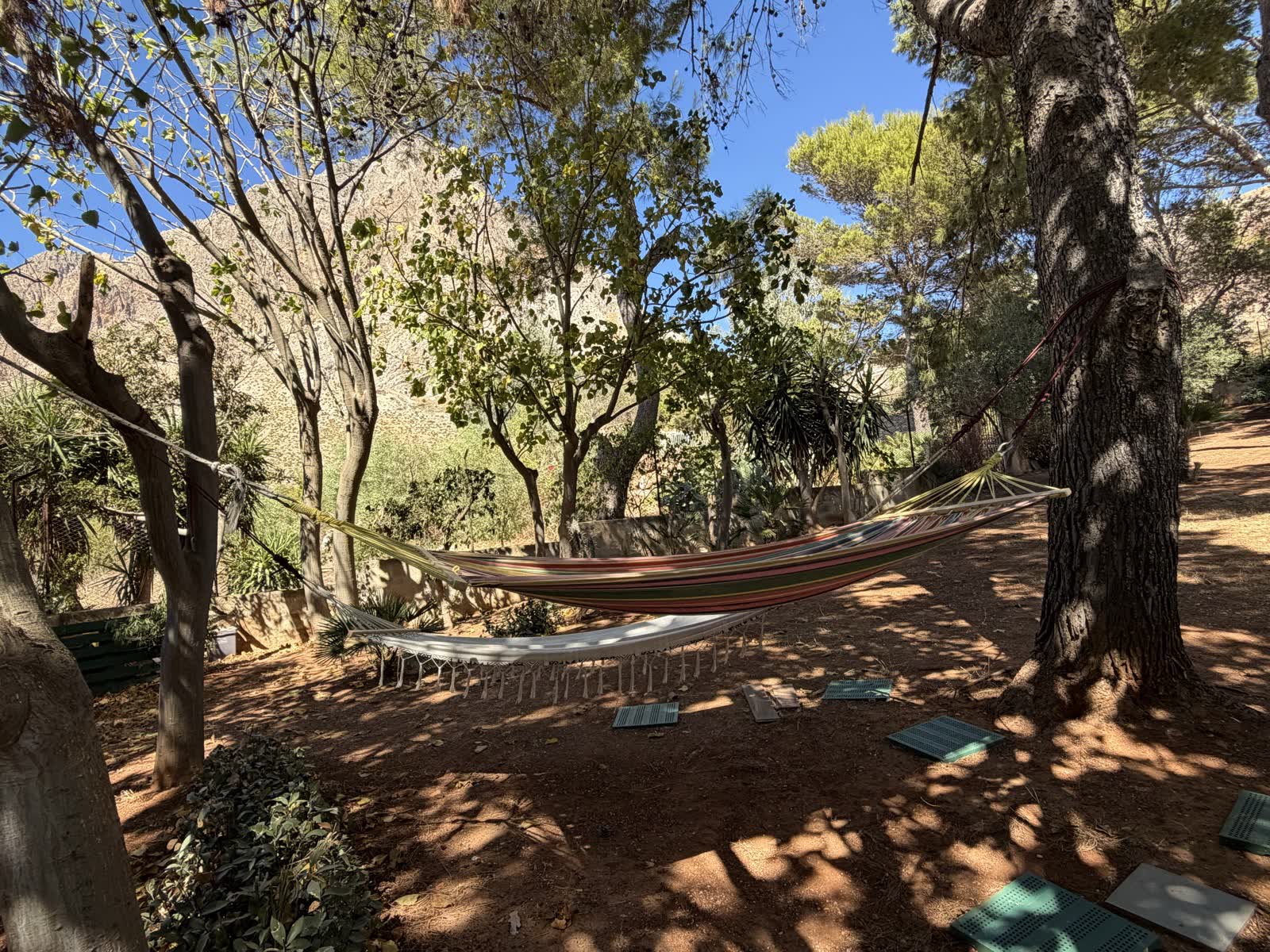 Hammock hanging between the pines in the villa garden