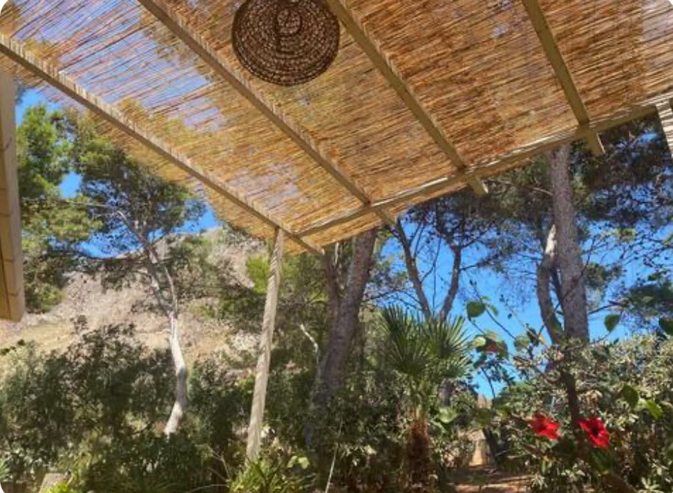 Cane pergola