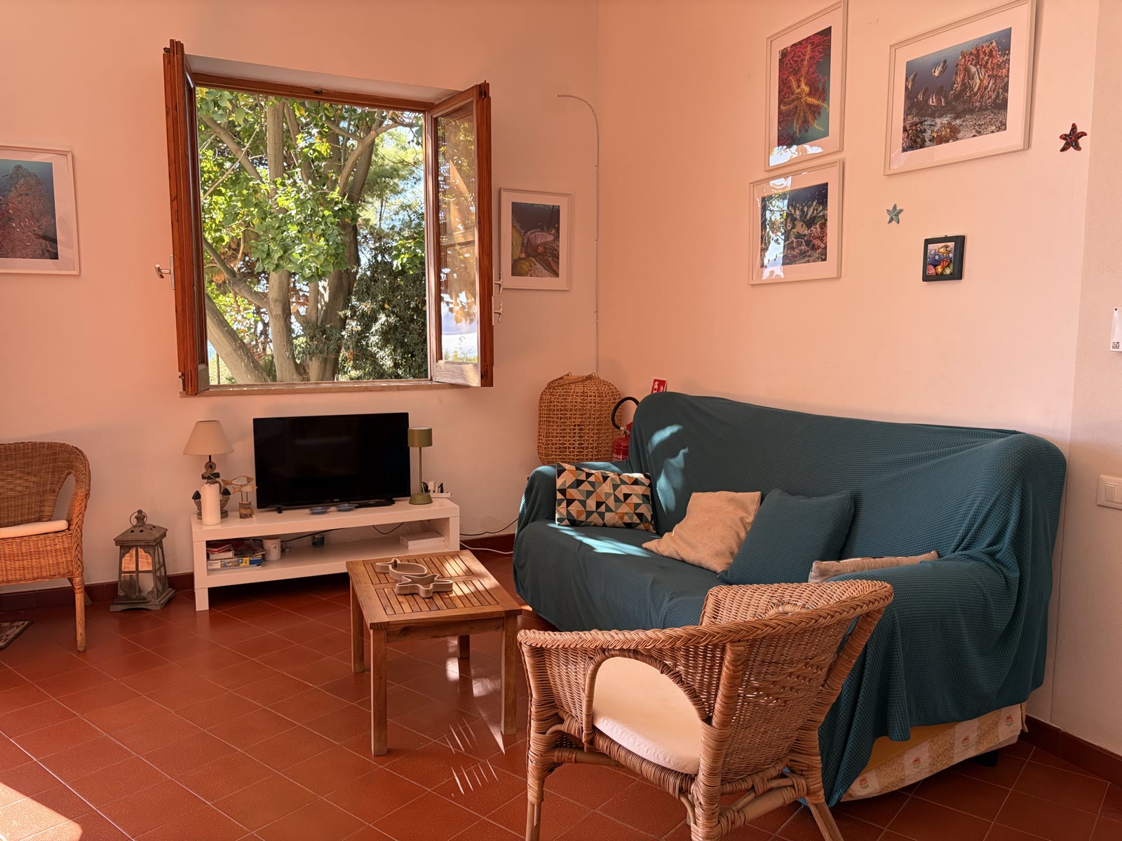 Living room with sofa, rug and wicker armchairs